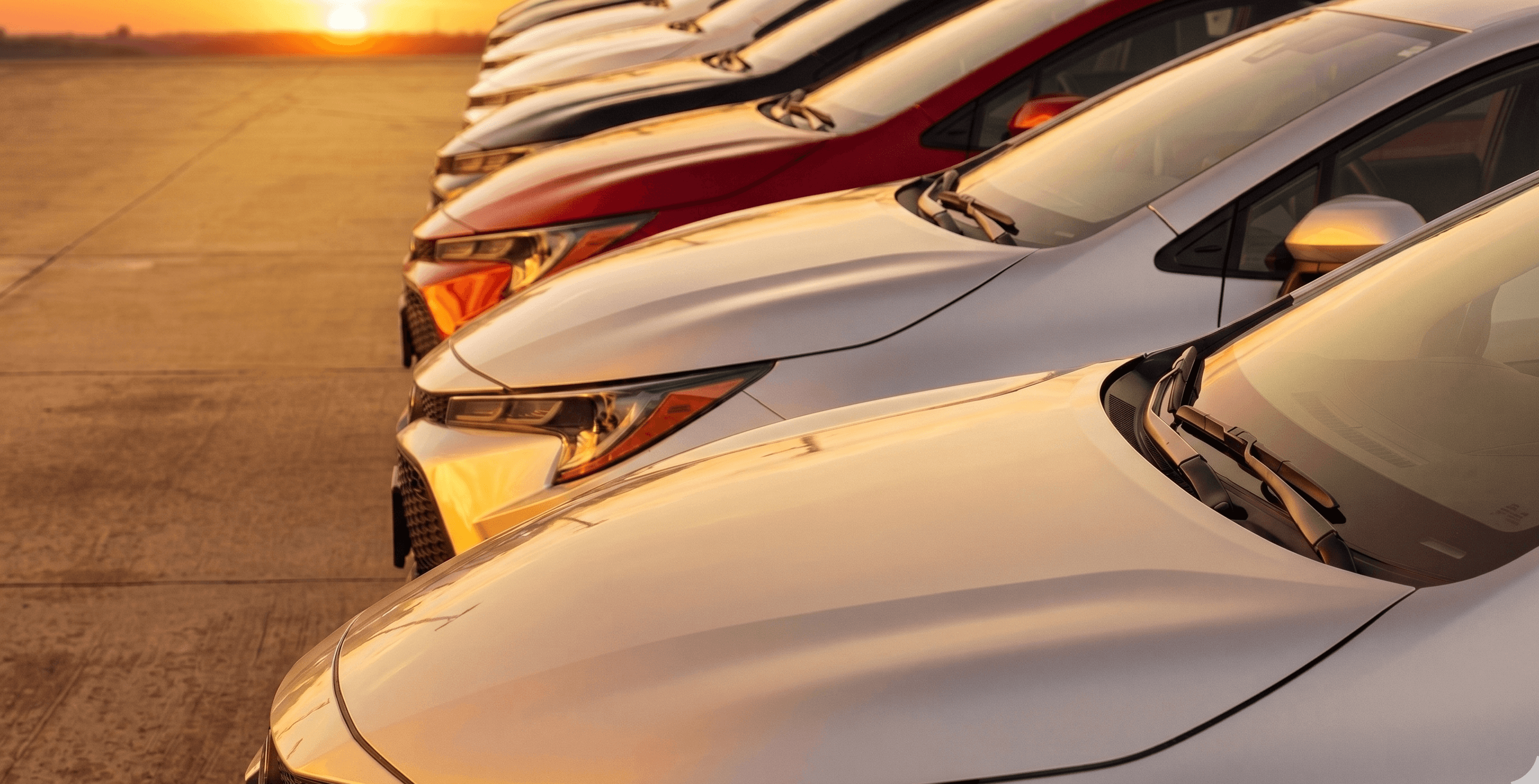 Fleet of vehicles lined up at sunset